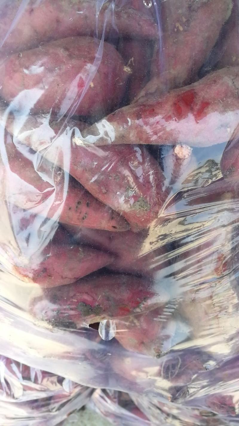 红心红薯红心3两以上，非诚勿扰，量大从优