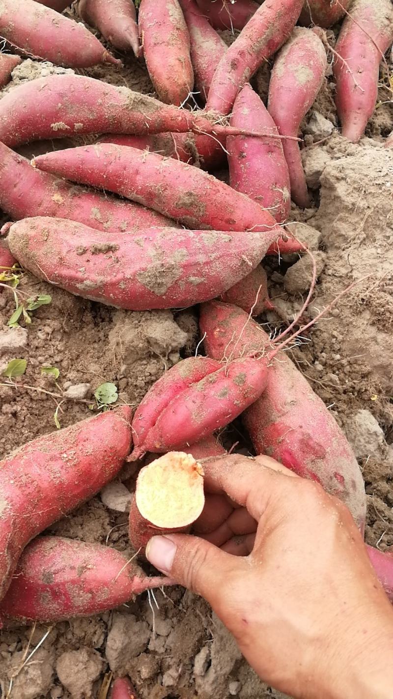 红心红薯红心3两以上，非诚勿扰，量大从优