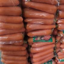 精品红萝卜，三红红萝卜大量供用，保质保量，供货量特大