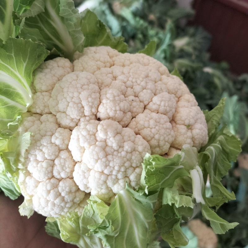 菜花