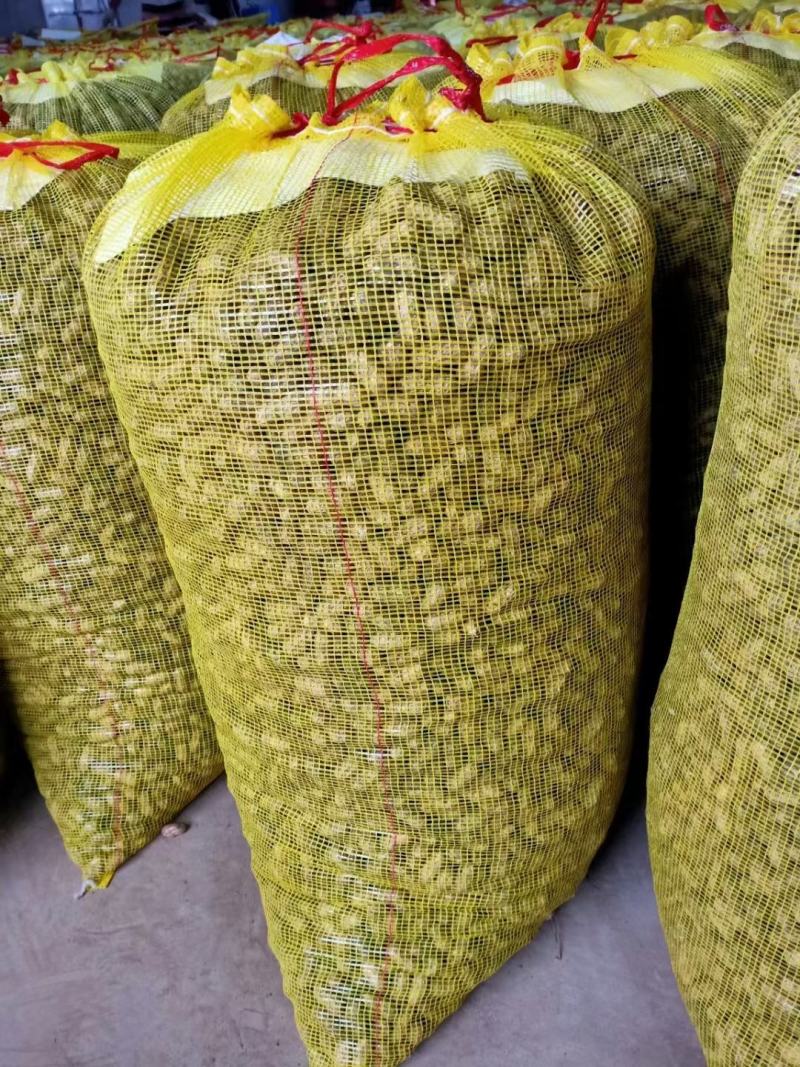 小白沙精选果，产地直发物美价廉，质量保证