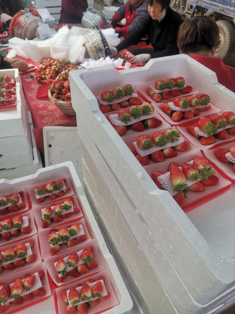 产地发货，草莓地头包装，电商发货中567成熟