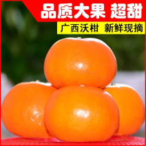 广西武鸣沃柑美团多多社区团购商超市场供应仓电商平台对接！