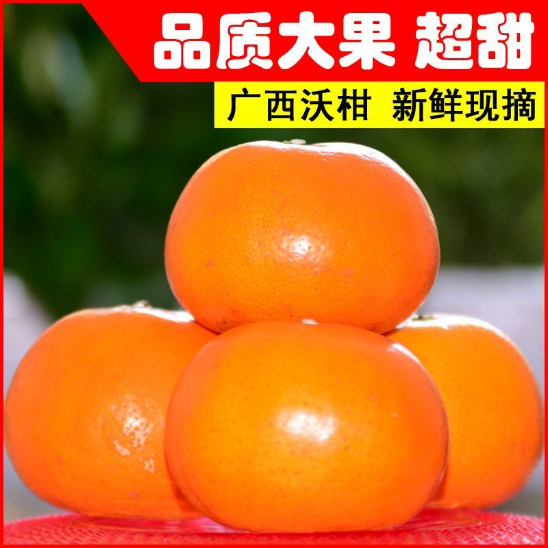 广西武鸣沃柑美团多多社区团购商超市场供应仓电商平台对接！