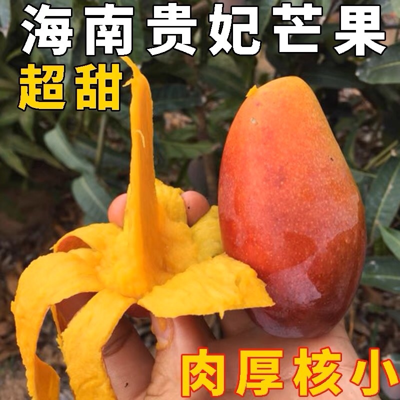 贵妃芒