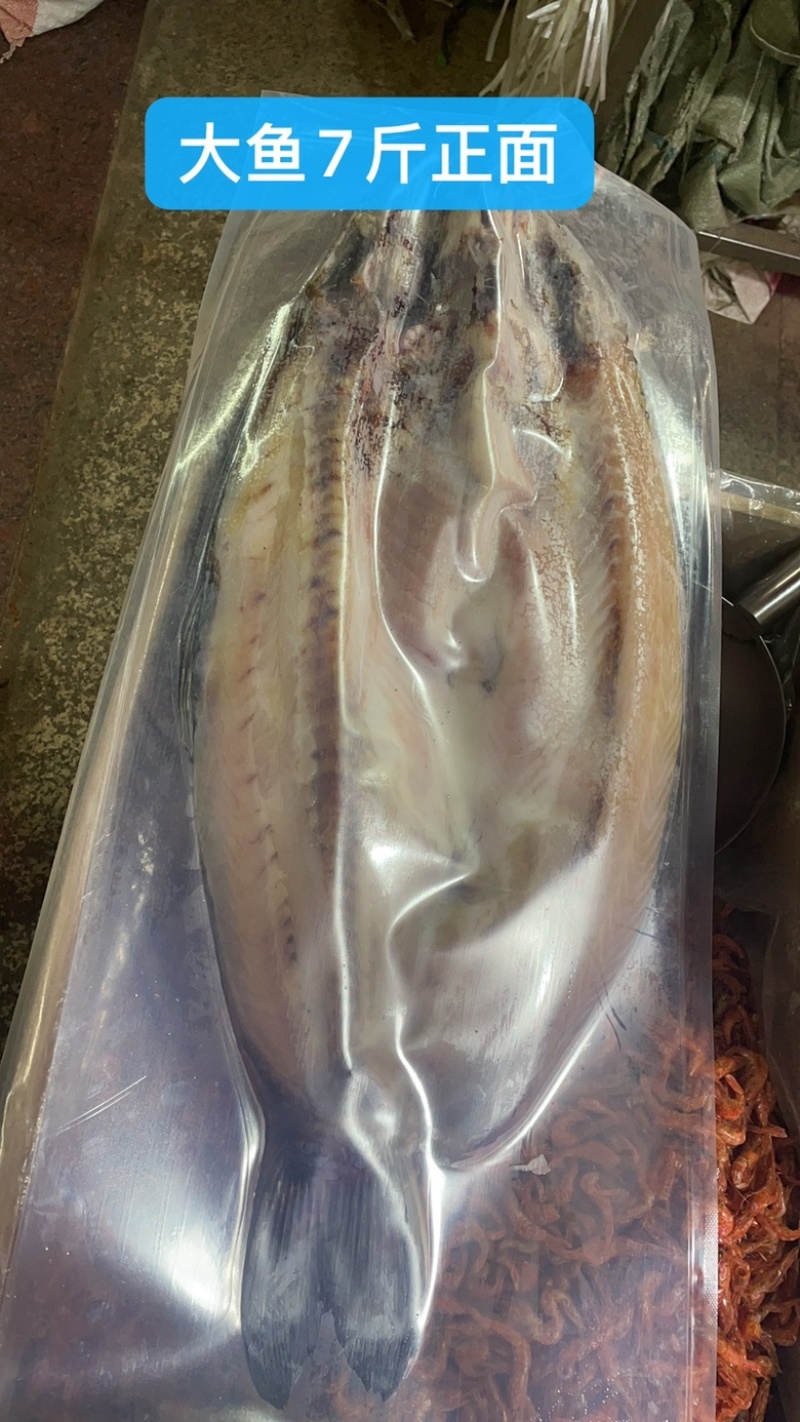 草鱼干大5斤中2斤小1斤