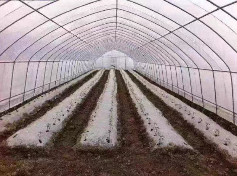 大棚骨架