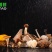 十二菌鲜礼盒过节送礼问候佳品新鲜菌菇送礼必备