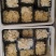 十二菌鲜礼盒过节送礼问候佳品新鲜菌菇送礼必备