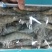 水冻大虾一件10盒1.4千克海洋大虾