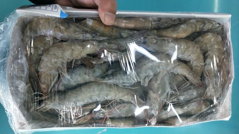 水冻大虾一件10盒1.4千克海洋大虾