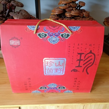 十全十美礼盒山珍礼盒10包干品山珍菌类