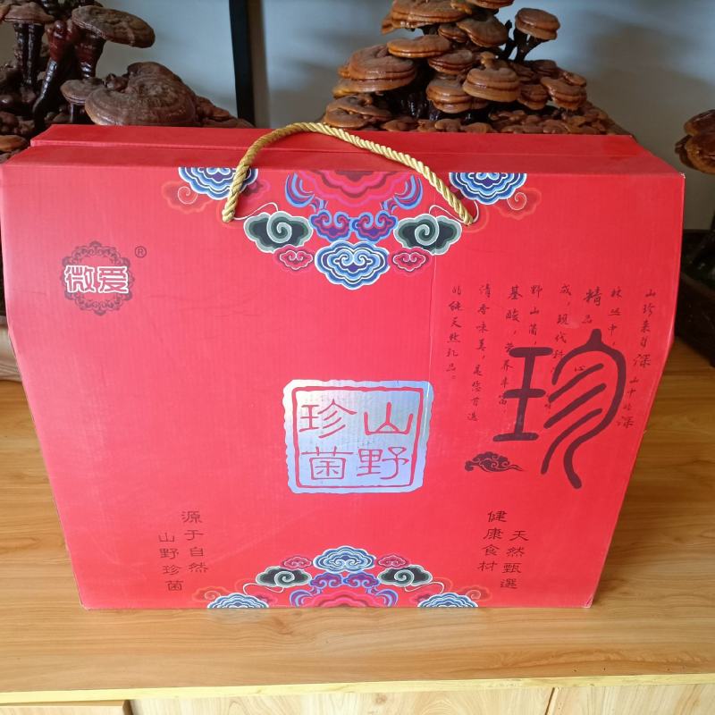 十全十美礼盒山珍礼盒10包干品山珍菌类