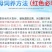 水母网红海月赤月水母批发活体观赏宠物江湖批发摆摊