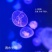 水母网红海月赤月水母批发活体观赏宠物江湖批发摆摊