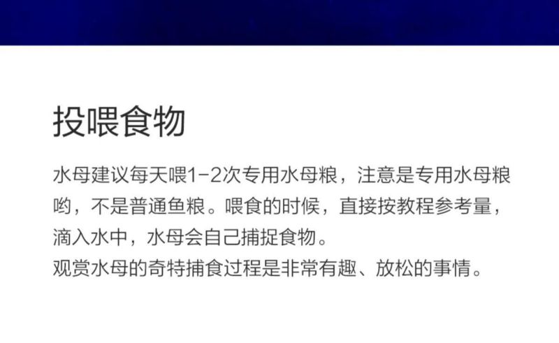 水母网红海月赤月水母批发活体观赏宠物江湖批发摆摊