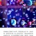 水母网红海月赤月水母批发活体观赏宠物江湖批发摆摊