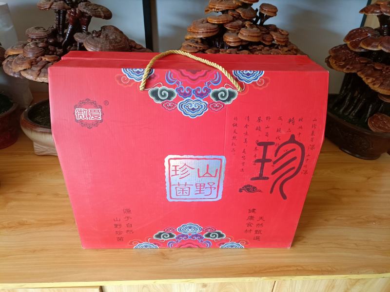 十全十美礼盒山珍礼盒10包干品山珍菌类
