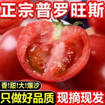 普罗旺斯西红柿一件代发落地配山东沙瓤西红柿3斤5斤彩箱