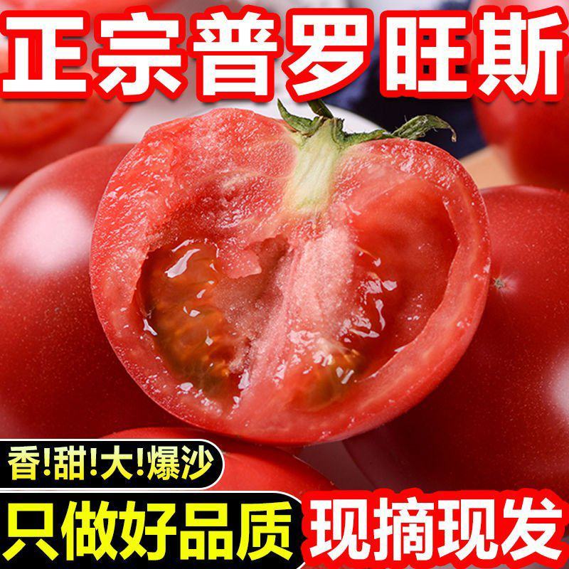 普罗旺斯西红柿一件代发落地配山东沙瓤西红柿3斤5斤彩箱