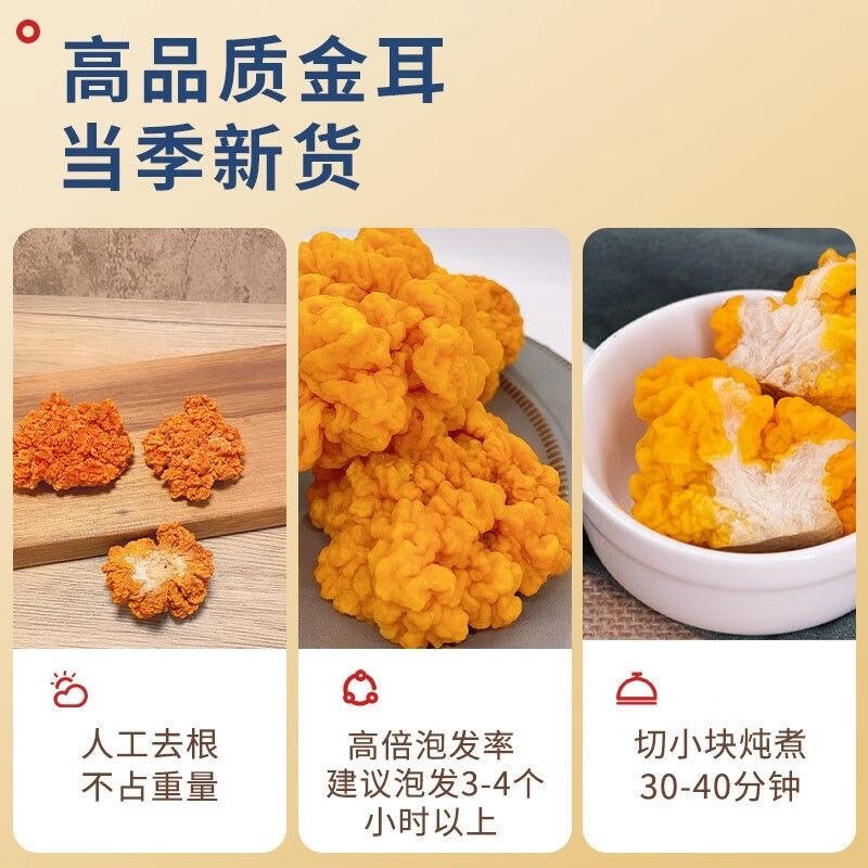 金耳菌