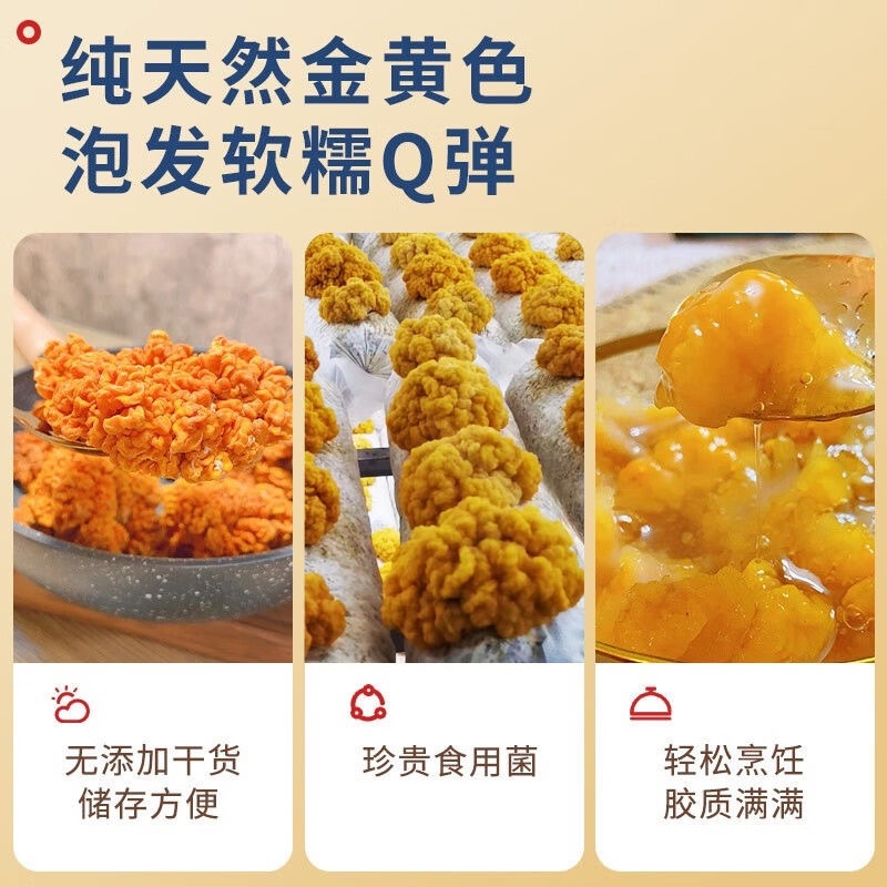 金耳菌