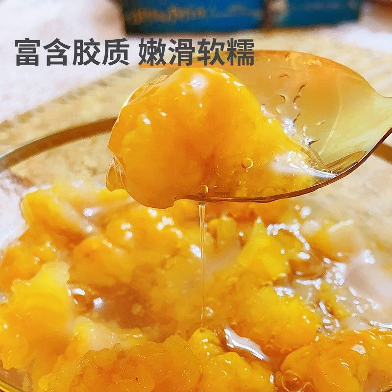 金耳菌
