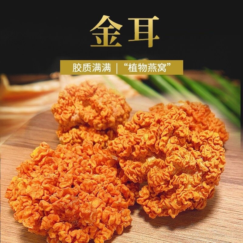 金耳菌