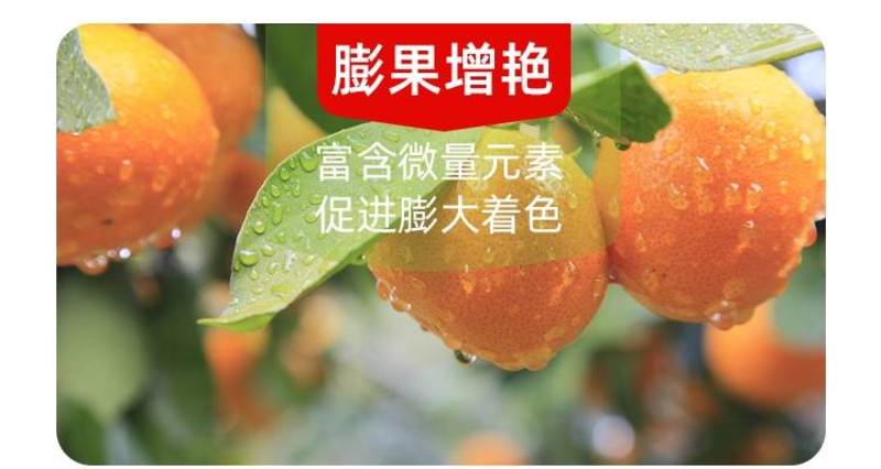 树荣巨来增甜剂苹果柑橘枇杷桃大量元素水溶肥料