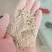 小米糠无杂质实体经营批发鸡鸭鹅猪牛羊专用原料量大从优