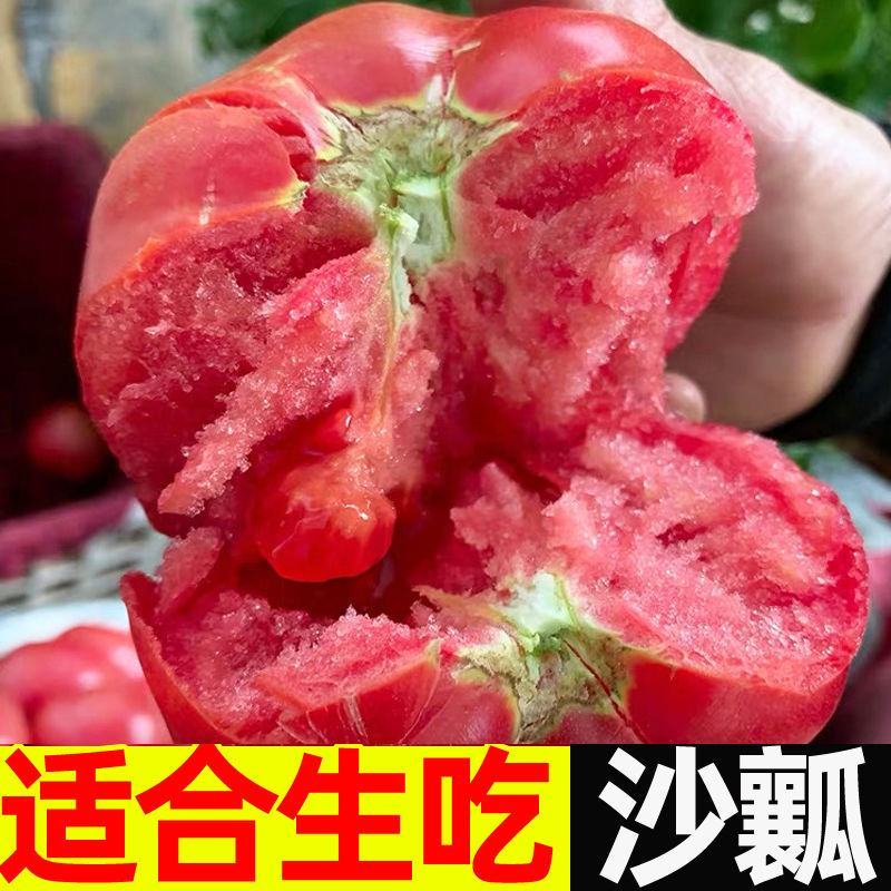普罗旺斯西红柿一件代发落地配山东沙瓤西红柿3斤5斤彩箱