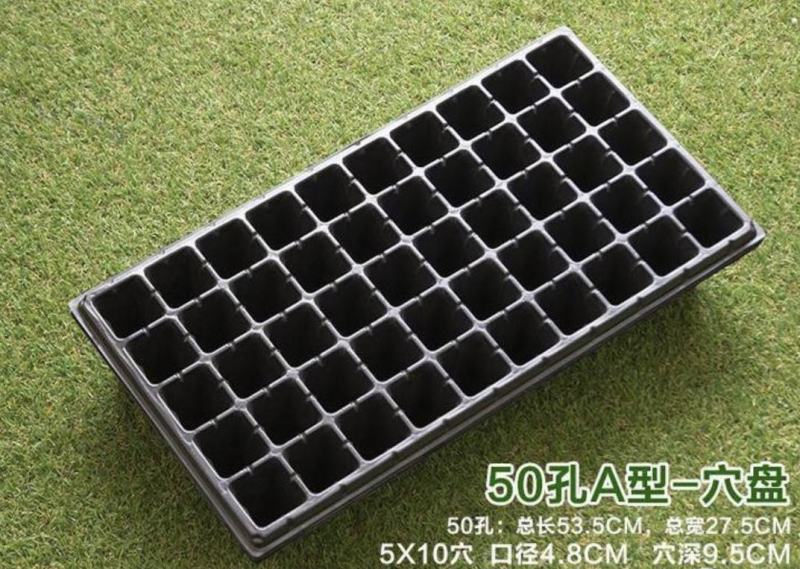 【热卖穴盘】500张包邮，50孔72孔105孔128孔
