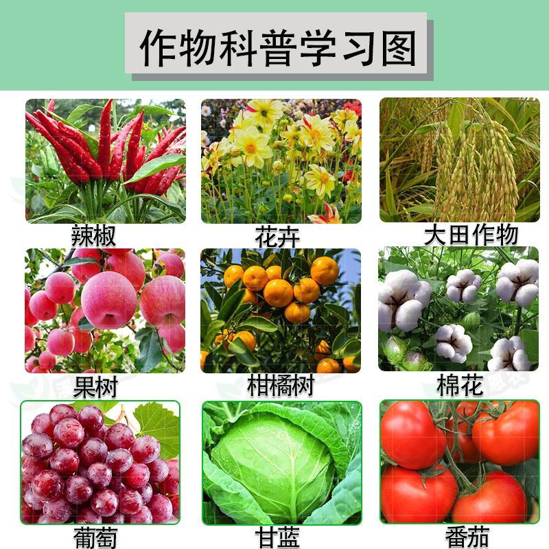 21%阿维螺螨酯红蜘蛛专用药永农卫满柑橘苹果花卉杀螨剂