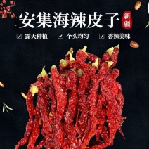 新疆安集海线椒二荆条新疆线椒干辣椒辣皮子批发零售包邮