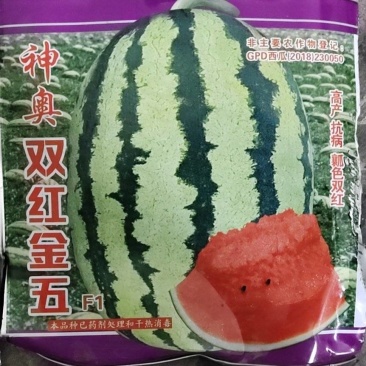 双红金五西瓜种子品质大果甜如初恋高回购咨询有优惠