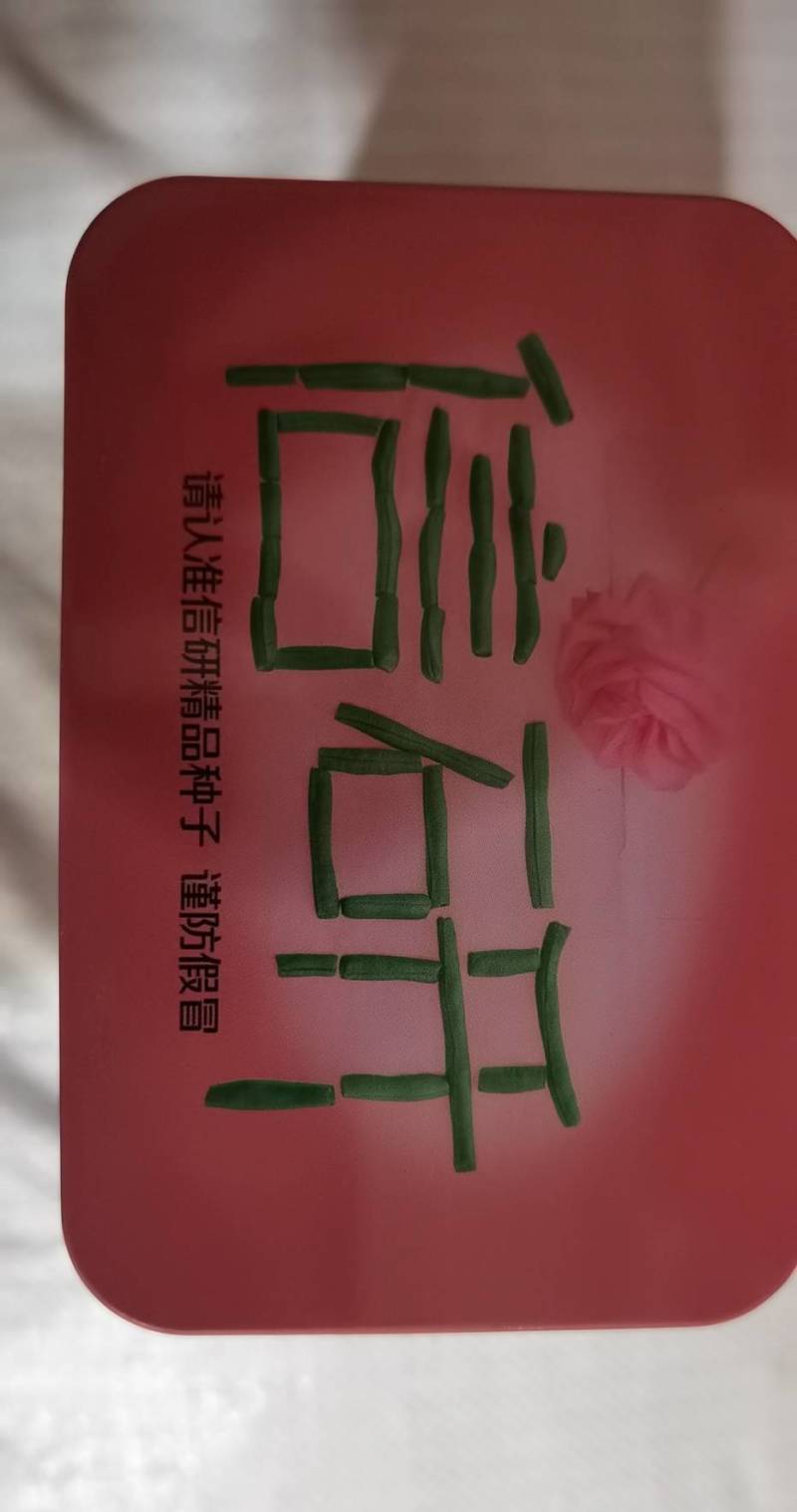 信研锦绣豇山豇豆种子中早熟耐寒耐热翠绿条长豆角种子
