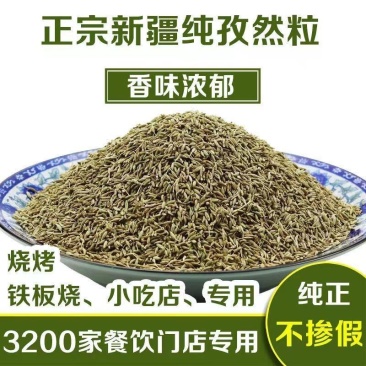 新疆孜然颗粒半颗粒细粉精品烧烤料吐鲁番孜然