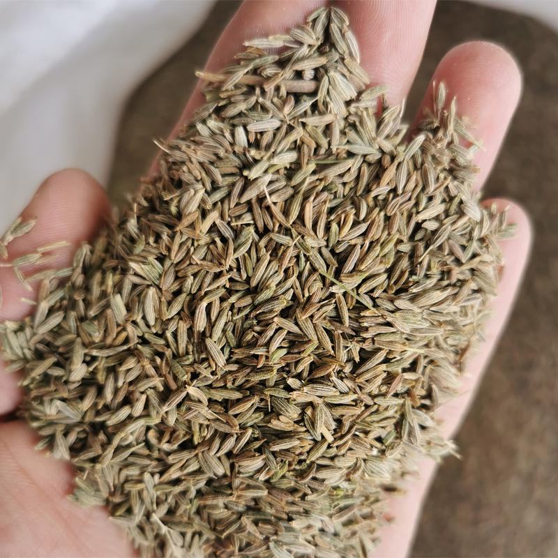 新疆孜然颗粒半颗粒细粉精品烧烤料吐鲁番孜然