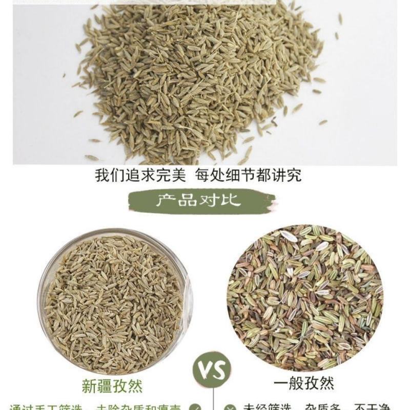新疆孜然颗粒半颗粒细粉精品烧烤料吐鲁番孜然