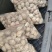 花菇白花菇精品花菇产地直发！品质好价格低包邮！