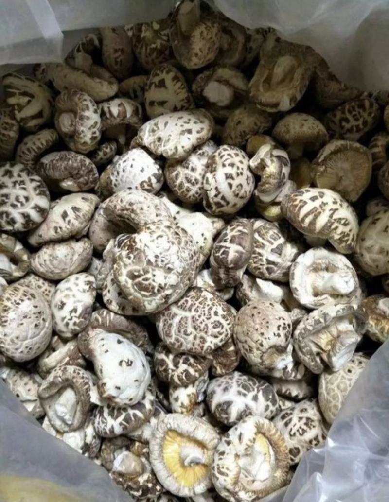 花菇白花菇精品花菇产地直发！品质好价格低包邮！
