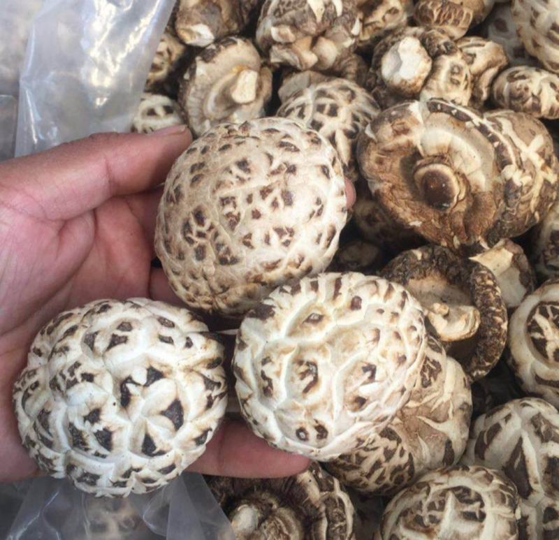 花菇白花菇精品花菇产地直发！品质好价格低包邮！