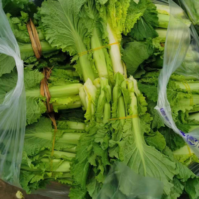 青口白菜苔