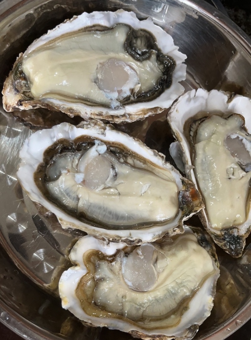 阳江生蚝产地直发乳山生蚝