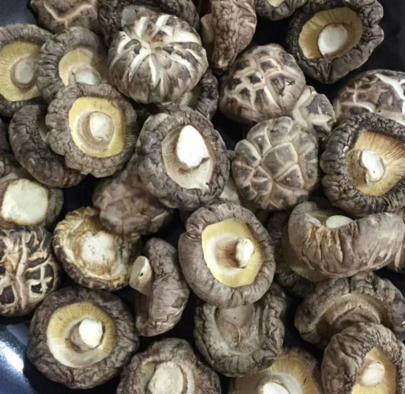 花菇精品花菇产地直发！品质好价格低包邮！