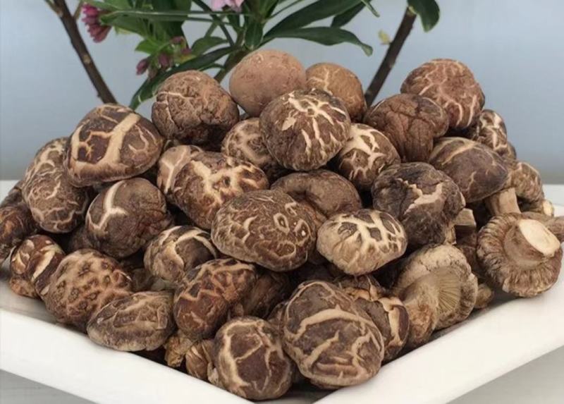 花菇精品花菇产地直发！品质好价格低包邮！