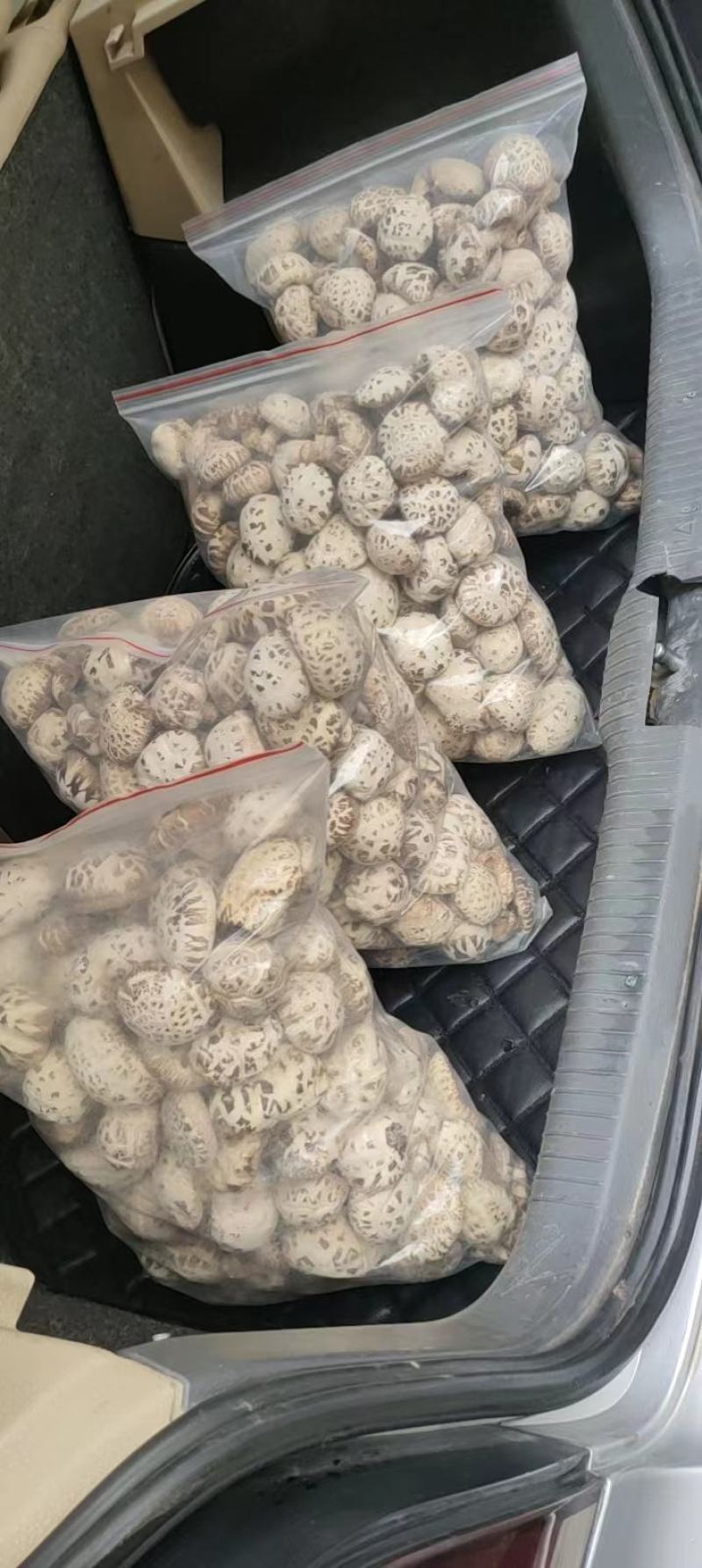 花菇精品花菇产地直发！品质好价格低包邮！