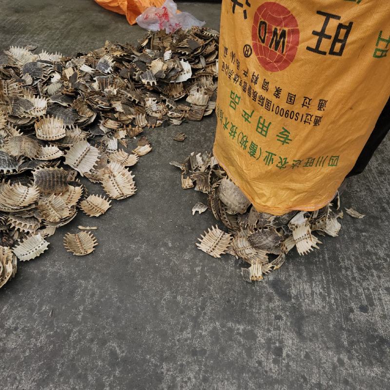 【生鳖甲】【团鱼壳】产地直销正品保证包邮