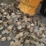 【生鳖甲】【团鱼壳】产地直销正品保证包邮