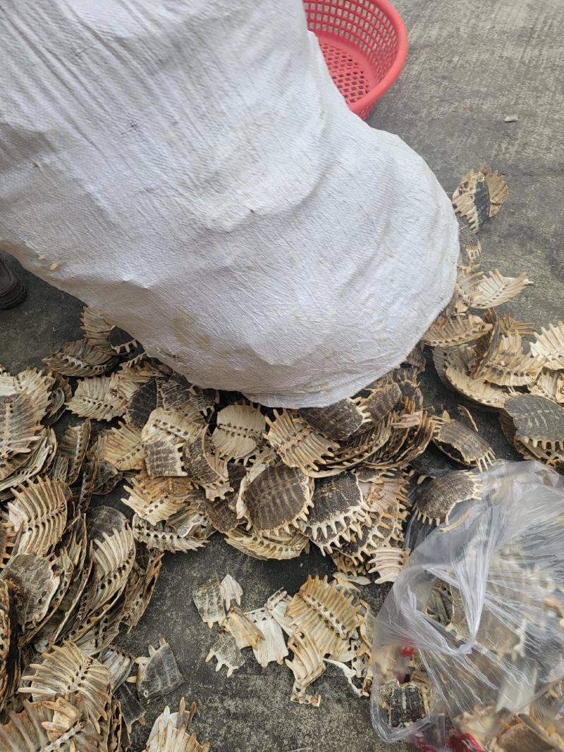 【生鳖甲】【团鱼壳】产地直销正品保证包邮